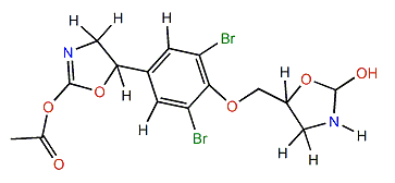 bis-2-Oxazolidone monoacetate